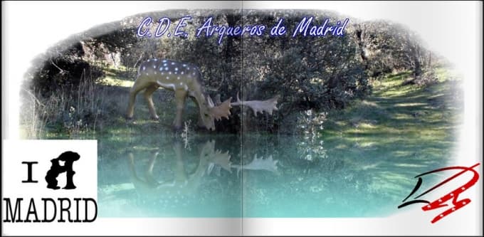 Ampliación del plazo de las inscripciones al Campeonato 3D de Madrid