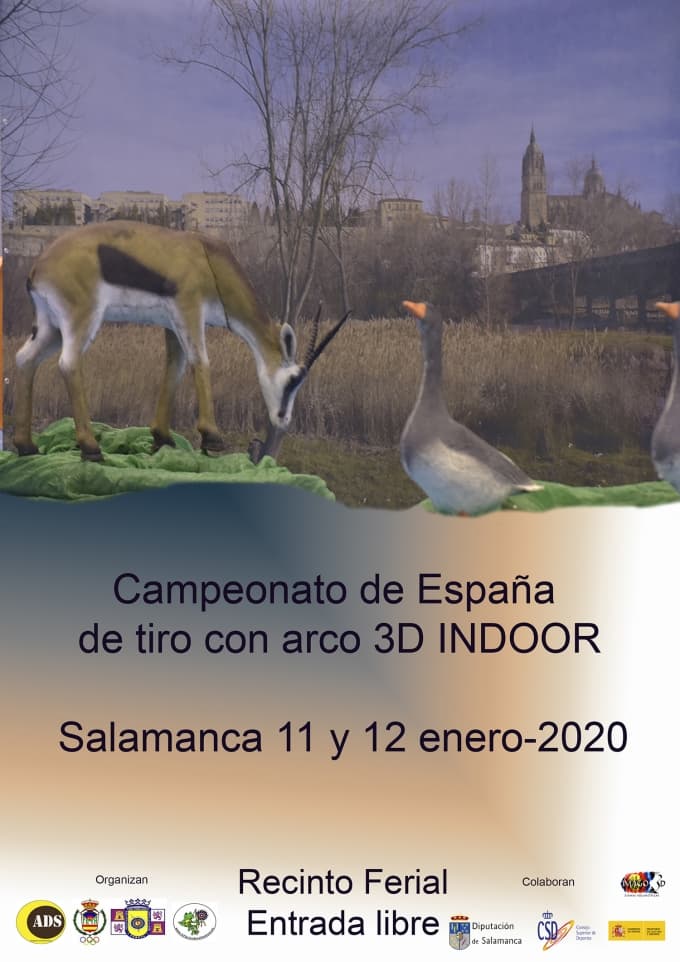 Cinco podios para los arqueros Madrileños en el Campeonato de España3D